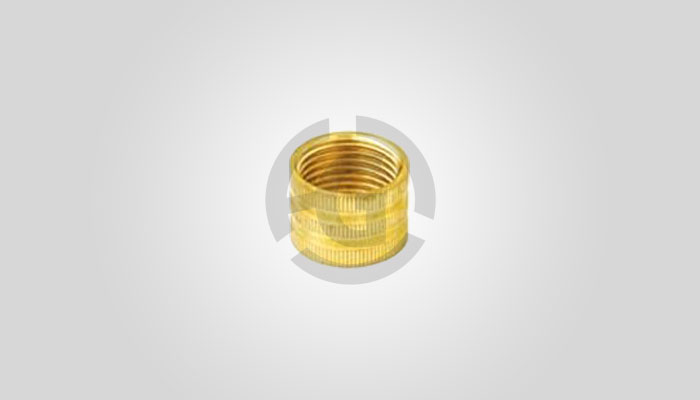 Brass PPR & CPVC Insert 4