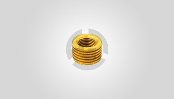 Brass PPR & CPVC Insert 5
